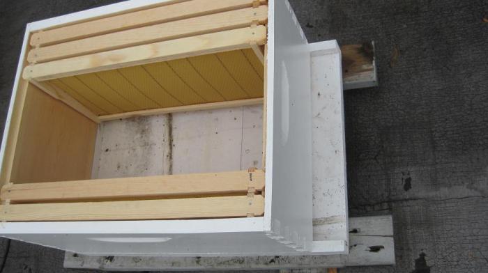 frame size in german hives