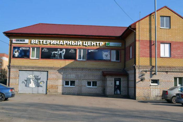 Quick help to pets is a veterinary clinic in Pskov