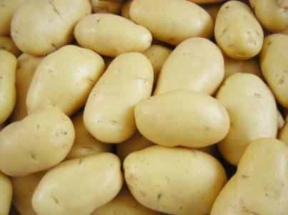 Potato Luck: characteristic of the variety. Photos, reviews, description