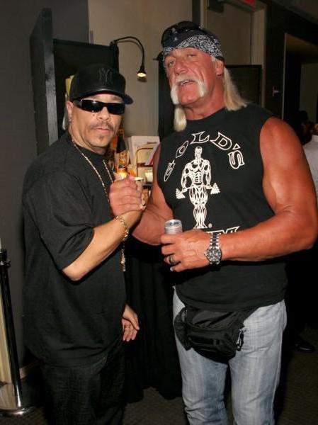 Filmography Hulk Hogan - an athlete or an actor?