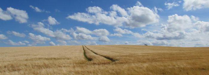 What is arable land? Meaning of the word