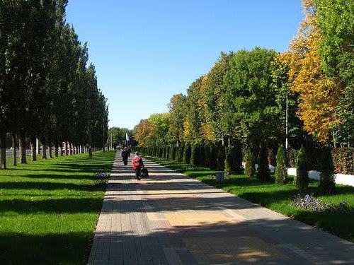 Bykhanov orchard Lipetsk 