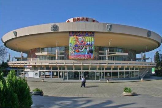 Circus in Sochi: description, reviews