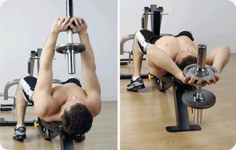 Pullovers with dumbbells - great exercises