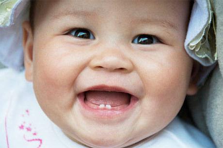 the order of dentition in infants
