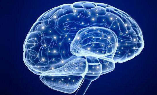 Contusion of the brain: consequences that may appear in the future